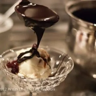 Decadent Hot Fudge Sauce: the best chocolate sauce I have ever had.