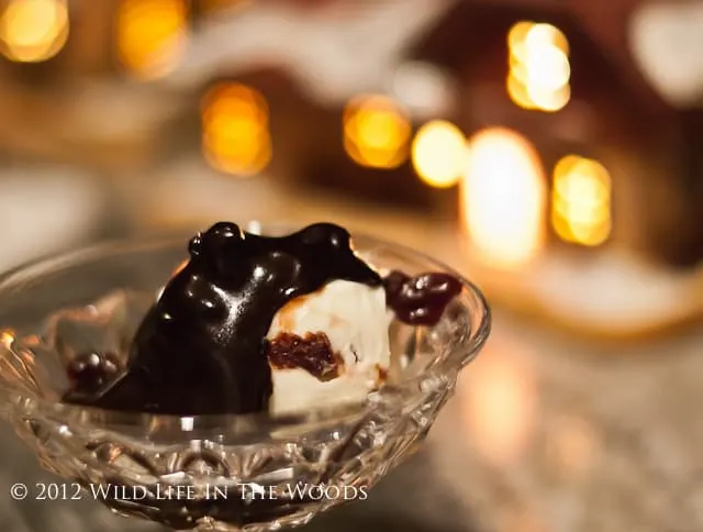 Decadent Hot Fudge Sauce: the best chocolate sauce I have ever had.
