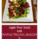 The perfect salad or side dish for Thanksgiving: Apple Pear Salad with Maple Pecan Bacon and Cranberry Vinaigrette