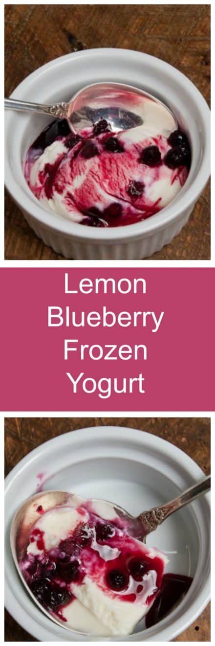 Lemon Blueberry Frozen Yogurt is light, refreshing, sweet and tart: a perfect pairing!