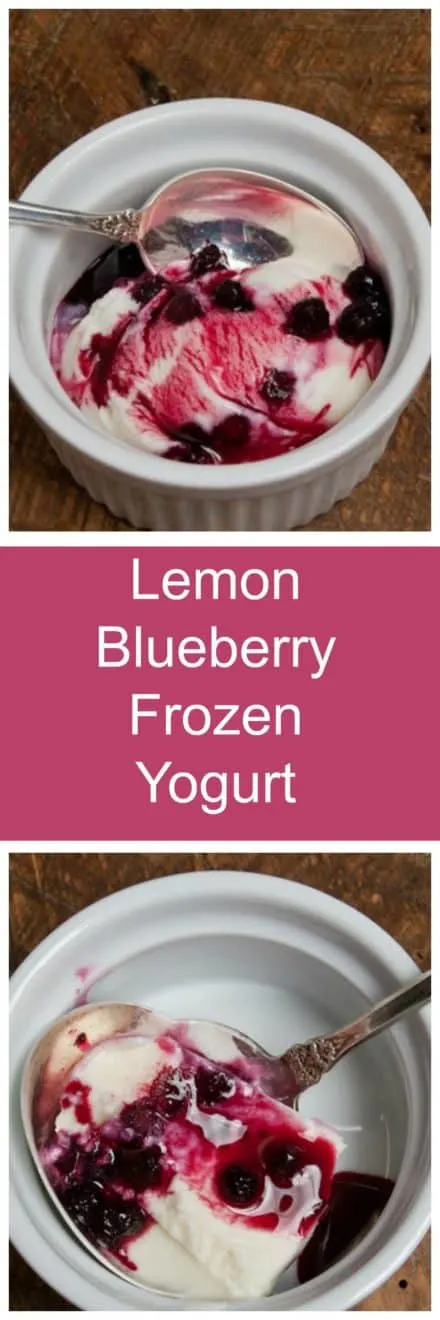 Lemon Blueberry Frozen Yogurt is light, refreshing, sweet and tart: a perfect pairing!