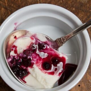 Lemon Blueberry Frozen Yogurt