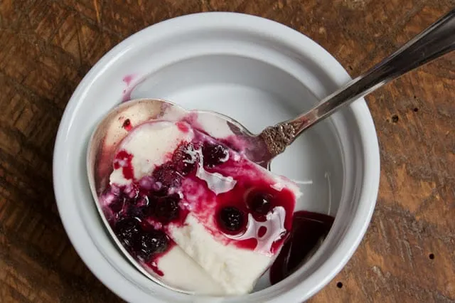 Lemon Blueberry Frozen Yogurt