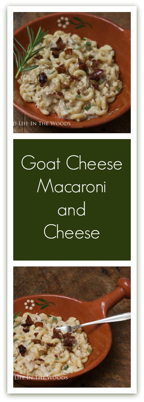 Goat Cheese Macaroni & Cheese is the best, most delicious macaroni and cheese I have ever had. Its flavor is enhanced by roasted chicken, rosemary, roasted garlic, and chicken skin basic.