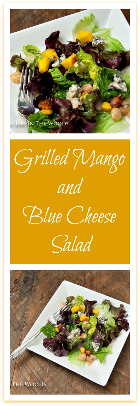 Grilled Mango and Blue Cheese Salad is the perfect salad to set off any protein you might happen to be grilling: beef, pork, chicken, or venison would pair beautifully with this perfectly balanced salad.