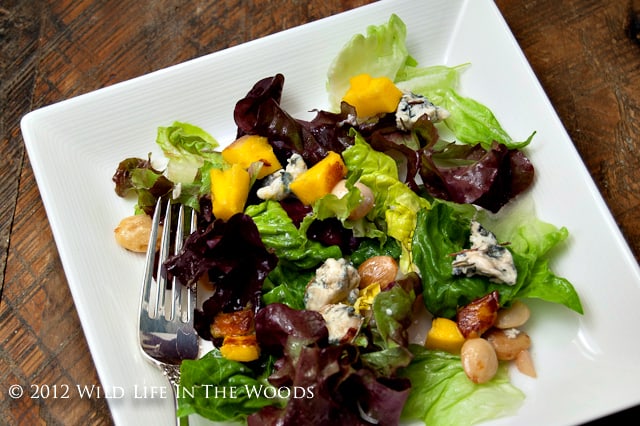 Grilled Mango and Blue Cheese Salad is the perfect salad to set off any protein you might happen to be grilling: beef, pork, chicken, or venison would pair beautifully with this perfectly balanced salad.