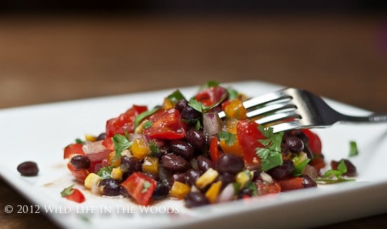 Aztec Salad is the perfect side dish for grilling out, or a light, tasty, healthy vegetarian lunch. A veggie salad with plenty of protein.