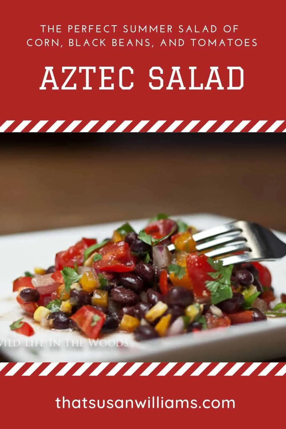 Aztec Salad