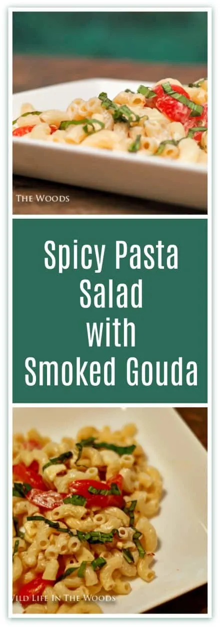 Spicy Pasta Salad with Smoked Gouda, Tomatoes and Basil is the perfect side dish for anything you're grilling!