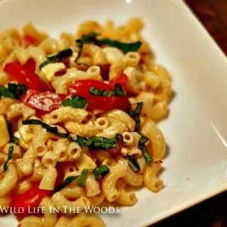 Spicy Pasta Salad with Smoked Gouda, Tomatoes and Basil is the perfect side dish for anything you're grilling!