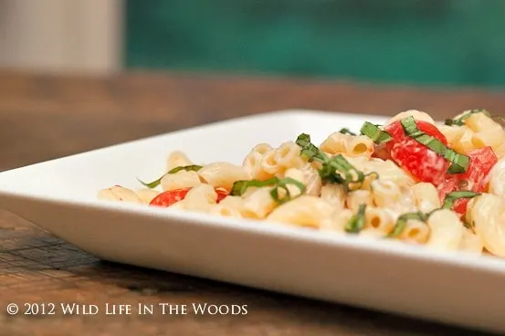 Spicy Pasta Salad with Smoked Gouda, Tomatoes and Basil is the perfect side dish for anything you're grilling!