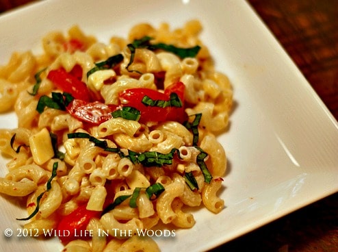 Spicy Pasta Salad with Smoked Gouda, Tomatoes and Basil is the perfect side dish for anything you're grilling! 