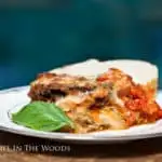 Extravagantly Excellent Eggplant Parmesan is one of the best dishes I've ever made! #eggplantparm #eggplant #eggplantparmesan #fried