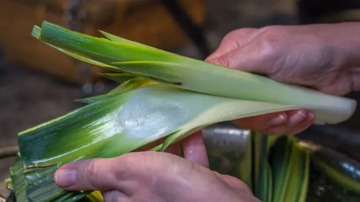 See what a little leek rinsing can do? All clean and shiny!