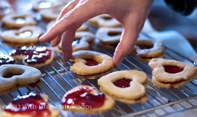 Linzer Heart Cookies