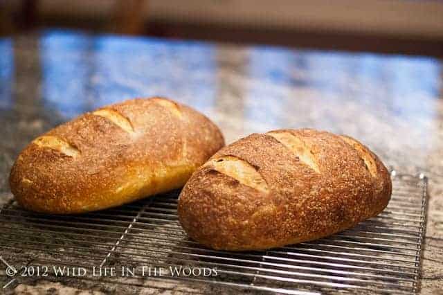 Sourdough Bread Recipe with the KitchenAid® Sifter and Scale Attachment 