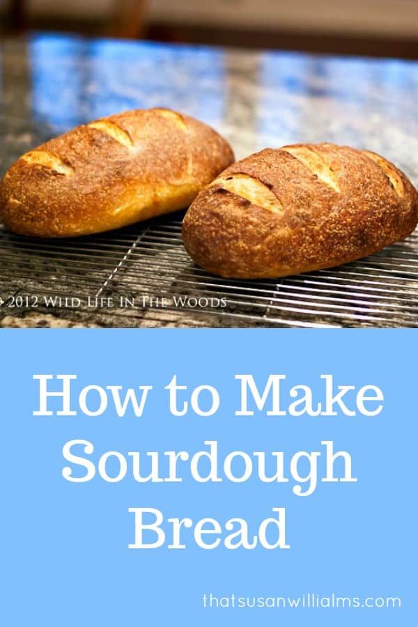 How to Make Homemade Sourdough Bread #recipe #sourdough #starter #homemade