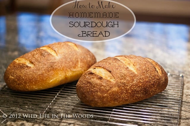 How to Make Homemade Sourdough Bread #recipe #sourdough #starter #homemade