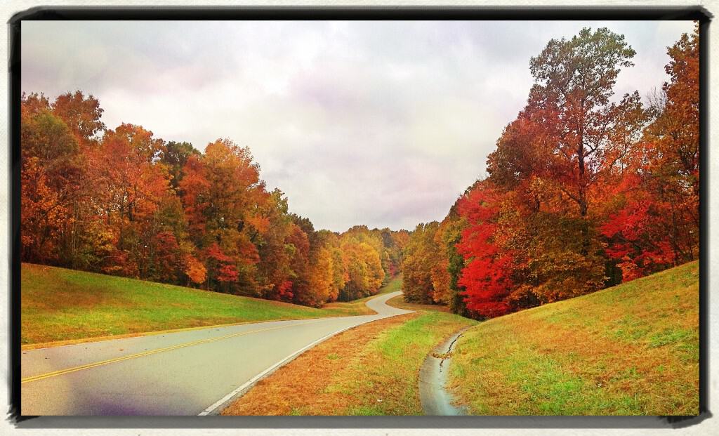 NatchezTraceParkway