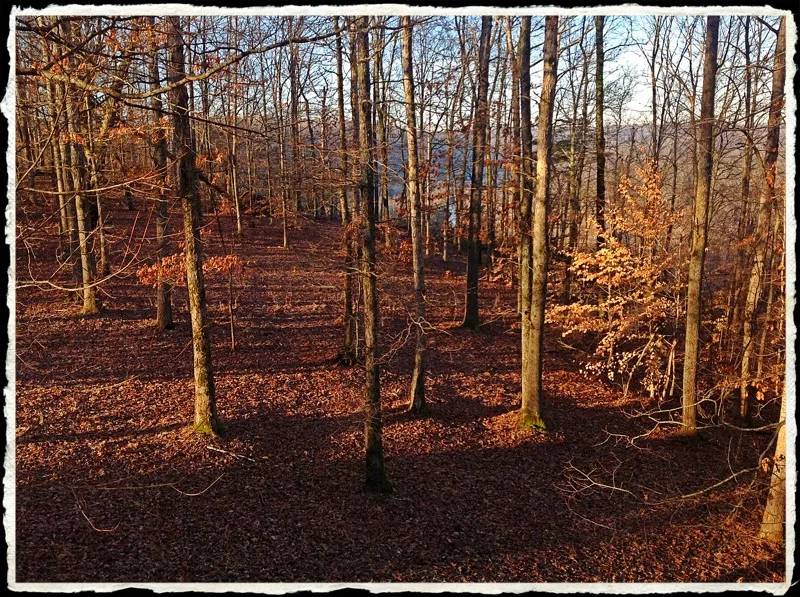 February morning