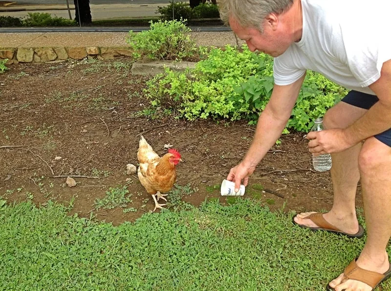 Greg feeding Henry.