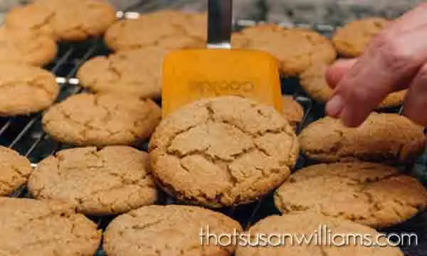 Browned Butter Brown Sugar Cookies