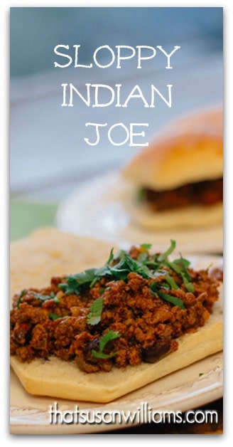 Sloppy Indian Joe