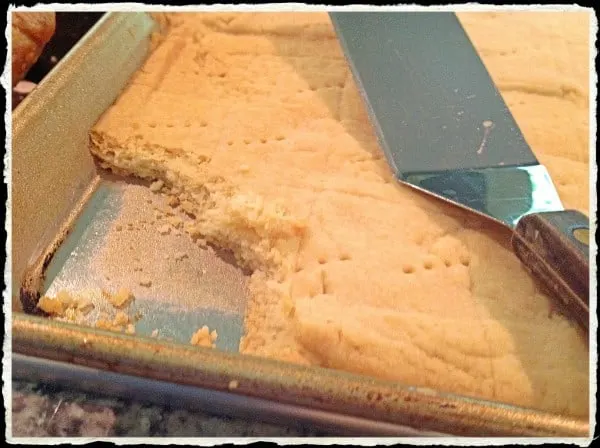 Shortbread for Cheesecake Crust