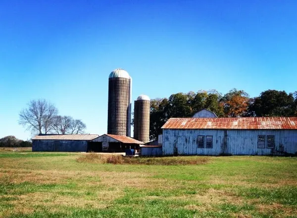 Batey farms