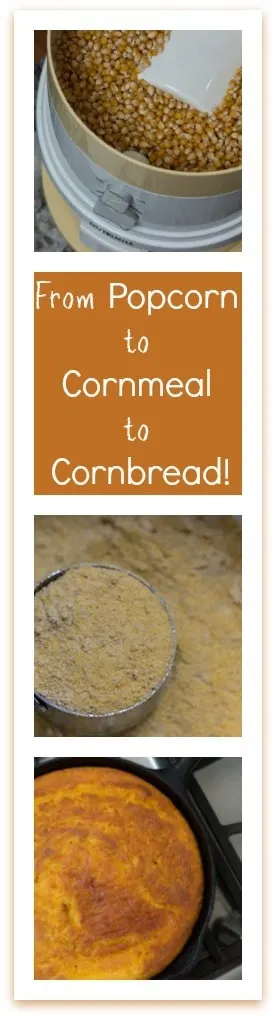 From Popcorn to Cornmeal to Cornbread How to Grind Your Own Cornmeal from Popcorn