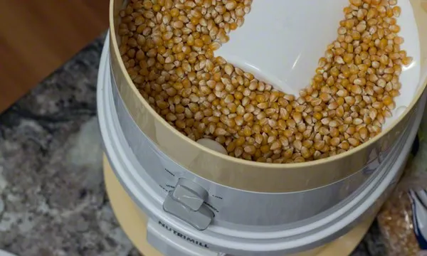 popcorn in grinder