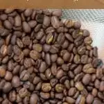 How To Roast Gourmet Coffee Beans at Home (and save money). Can you believe we do it in a WhirleyPop?#coffeebeans #roastcoffeebeans #greencoffeebeans #popcornpopper #DIY