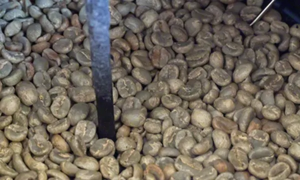 How To Roast Gourmet Coffee Beans at Home (and save money)