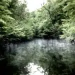 Permalink to: What Is Unseen What is Unseen Might Be The Most Important Thing of All to See.