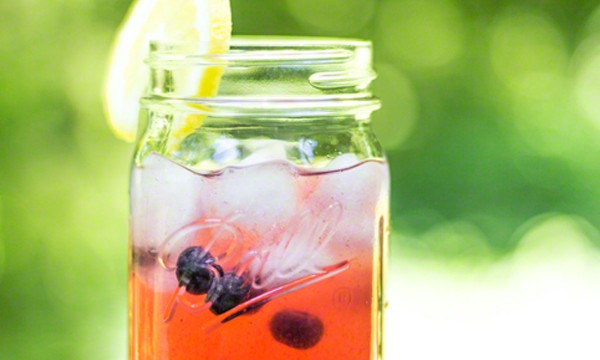 Looking for a blueberry recipe? Fresh Blueberry Lemonade is a perfect summer beverage!