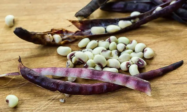 Purple Hull Peas with Bacon and Rice