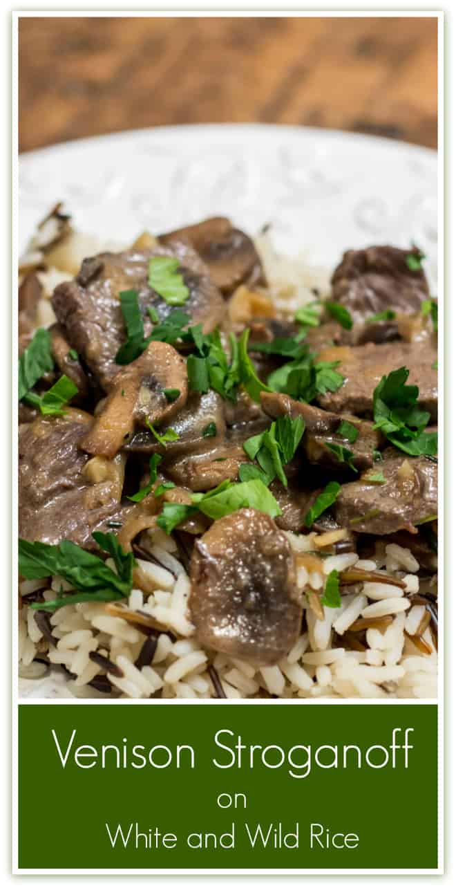 Venison Stroganoff on White and Wild Rice is all the proof you need that venison can be a gourmet meal.