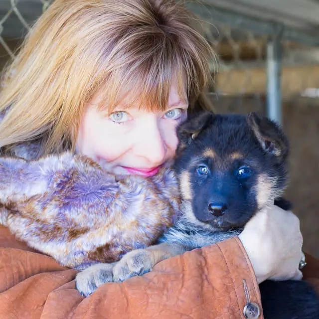 Homemade Venison Jerky, Pemmican Style Recipe - That Susan Williams