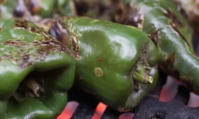Grilled Skirt Steak Tacos with Roasted Poblanos is the perfect Cinco de Mayo Cookout Recipe.