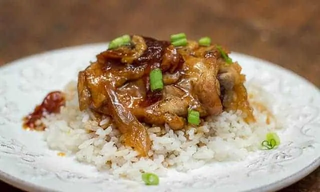 Cosori instant pot recipes sales