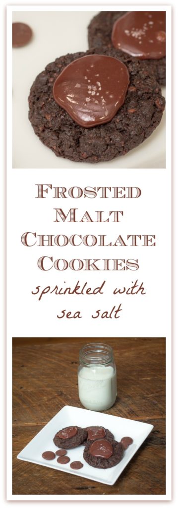 #chocolate #cookies #ganache Frosted Malt Chocolate Cookies are the perfect dessert for any chocolate lover, whether it's Christmas, Valentine's Day, or a birthday dessert.