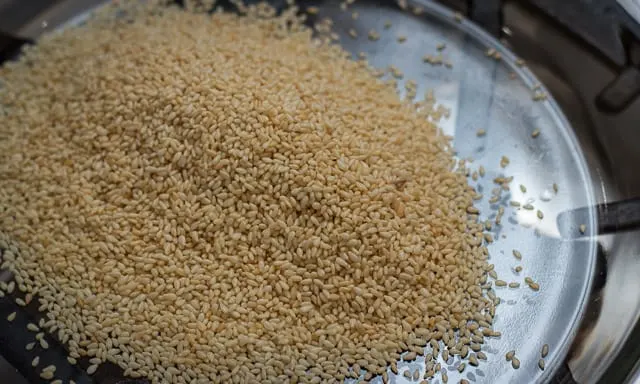 Sesame Crusted Alaska Salmon Recipe #AskForAlaska #sustainability #salmon #fish