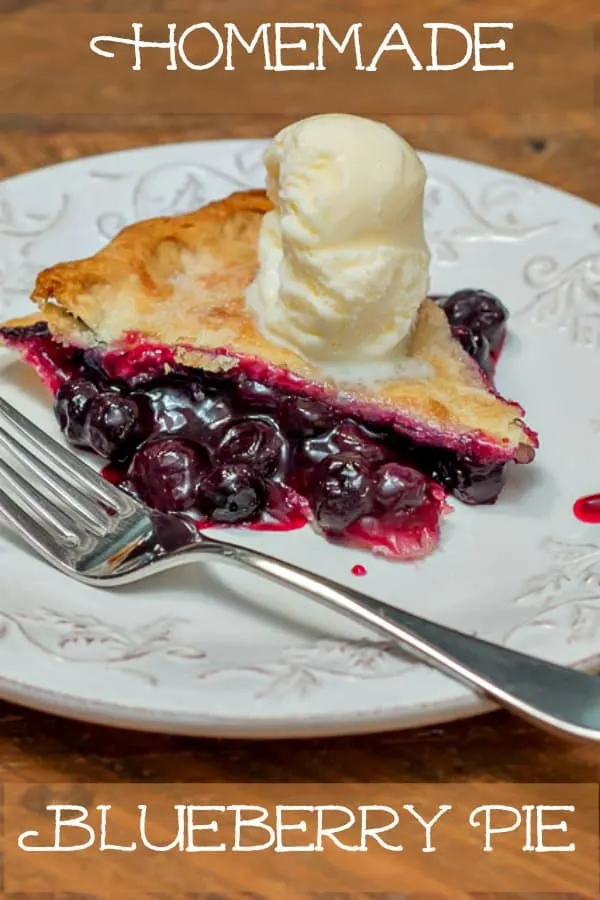 How To Make Homemade Blueberry Pie Recipe #summer #summerrecipe #blueberrypie #blueberries #blueberrypierecipe #easyrecipe