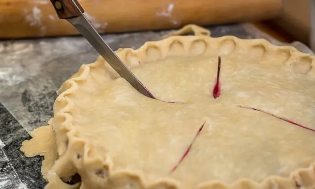 How To Make Homemade Blueberry Pie Recipe #summer #summerrecipe #blueberrypie #blueberries #blueberrypierecipe