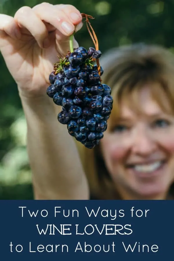 Two Fun Ways to Learn About Wine #godfosakengrapes #wine #winetasting #winedinner #winelovers