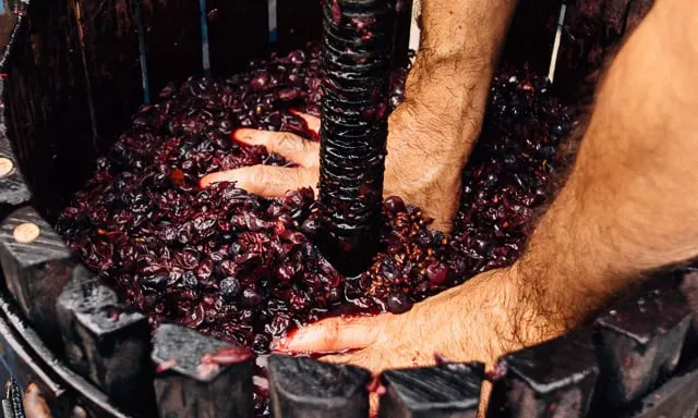 Two Fun Ways to Learn About Wine #godfosakengrapes #wine #winetasting #winedinner