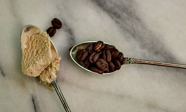 Black Coffee Ice Cream and Bosch Ice Cream Maker Review - That Susan  Williams