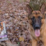 Companion High Quality Affordable Pet Brand at Food Lion #affordable #dog #dogtreats #highquality