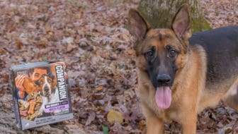 Companion High Quality Affordable Pet Brand at Food Lion #affordable #dog #dogtreats #highquality