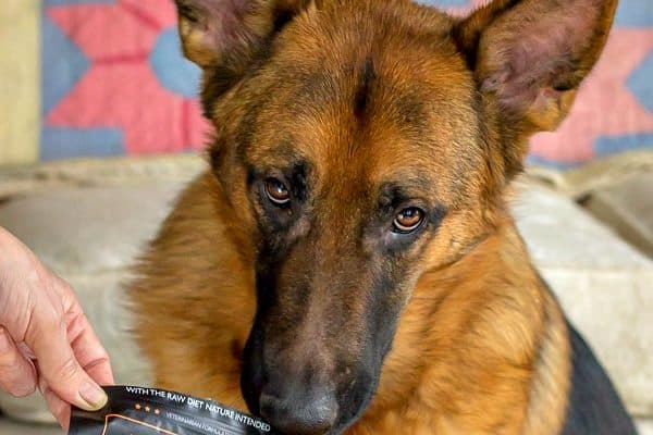 TruDog #ad A dog food review and unboxing video #dogfood #review #dogproducts